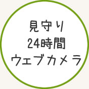 シャンプー代金節約