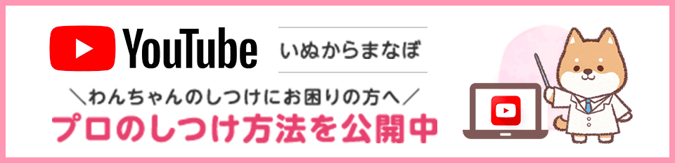 「いぬからまなぼ」動画公開しています