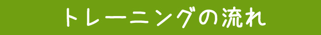 トレーニングの流れ