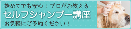 セルフシャンプー講座　お気軽にご予約ください！