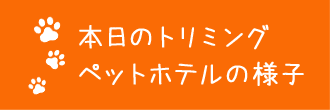 本日のトリミング、ペットホテルの様子