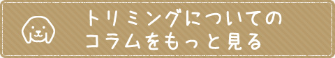 ペットホテルコラムをもっとみる